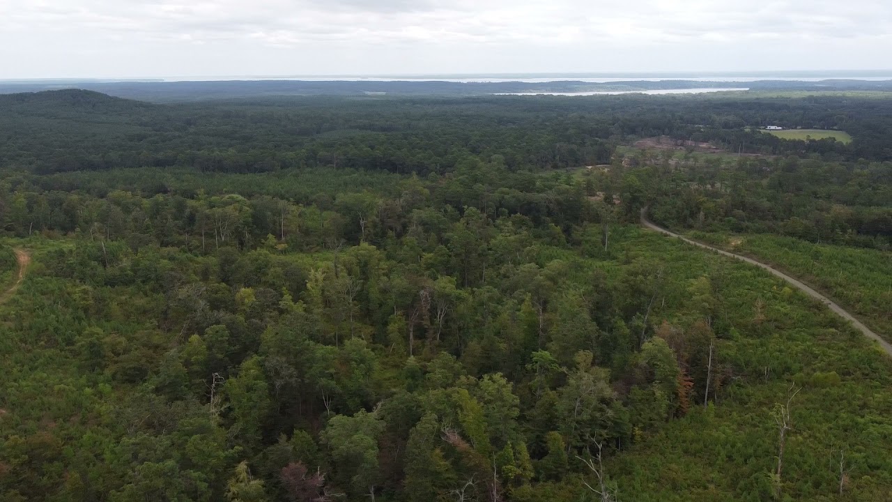 Sabine National Forest