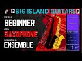 Hilo Beginner Jazz Ensemble Apr 1st 2025 Hilo Beginner Jazz Ensemble Apr 1st 2025