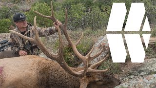 GIANT OKLAHOMA ELK BOW HUNT