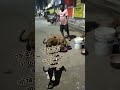 एक बेजूबा का साथ 1000 इंसानो के बरोबर हैं जो बिना कोई शर्त का मारने तक साथ निभाता है