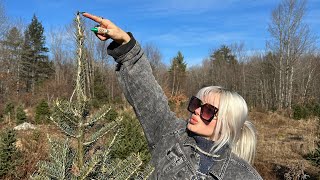 Our Charlie Brown Tree | vlog