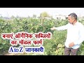 आर्गेनिक सब्जियों का मॉडल फार्म शुरू करने की A to Z जानकारी, How to start Organic Vegetables Farming