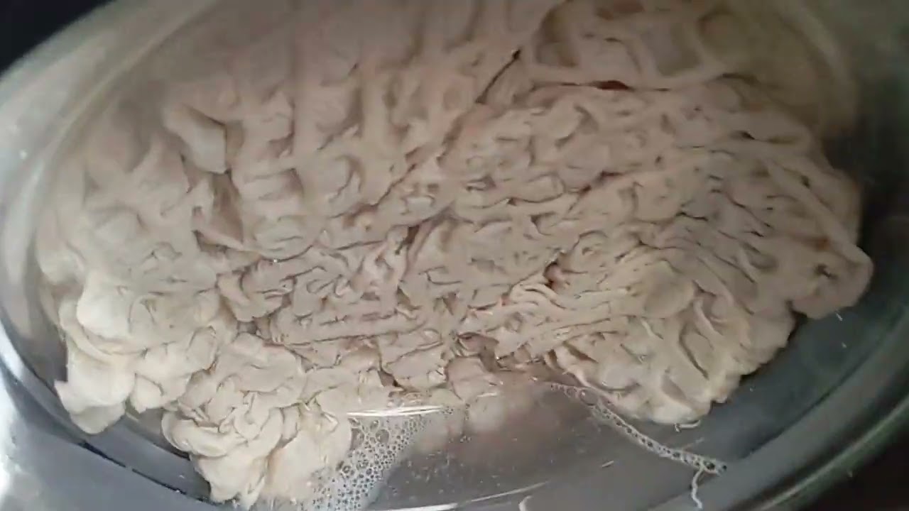 LIGRELL 7.5 kg Steam Name 60° 1000rpm On myself м/с этого 