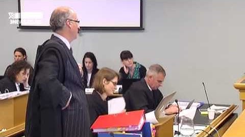 Footage (MegaVideo) What Really Happened In The Kim Dotcom Raid