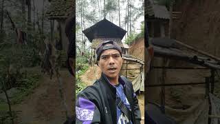 Tekad Satu Keluarga Hidup di Tengah Hutan #desaindonesia #desaterpencil #jejakkuringchannel