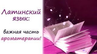 Латинский язык: для чего он нужен в ароматерапии? Латинский язык: для чего он нужен в ароматерапии?
