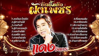 รวมเพลงสุดยอดอัลบั้มฟังเพชร แดง จิตกร l ขอเป็นอะไหล่รัก, ผู้สาวบ้านได๋, ผ่าเหล้าผ่ารัก