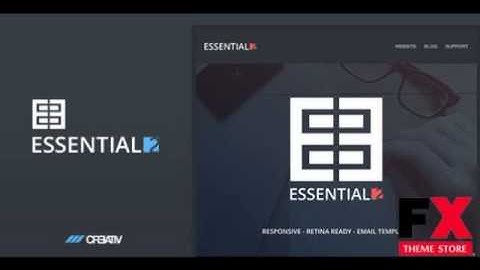 Preview Business Essentials 2 Email Template TForest