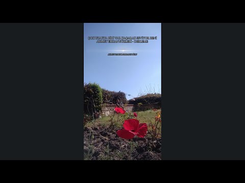 Çok uzakta biri