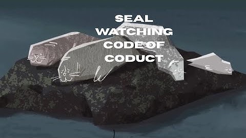 Seal Watching Code of Conduct