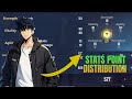 WHERE TO DISTRIBUTE POINTS ?? [SOLO LEVELING: ARISE]