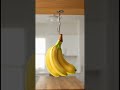 Stop bananas from ripening too fast by hanging them with a hook #Shorts
