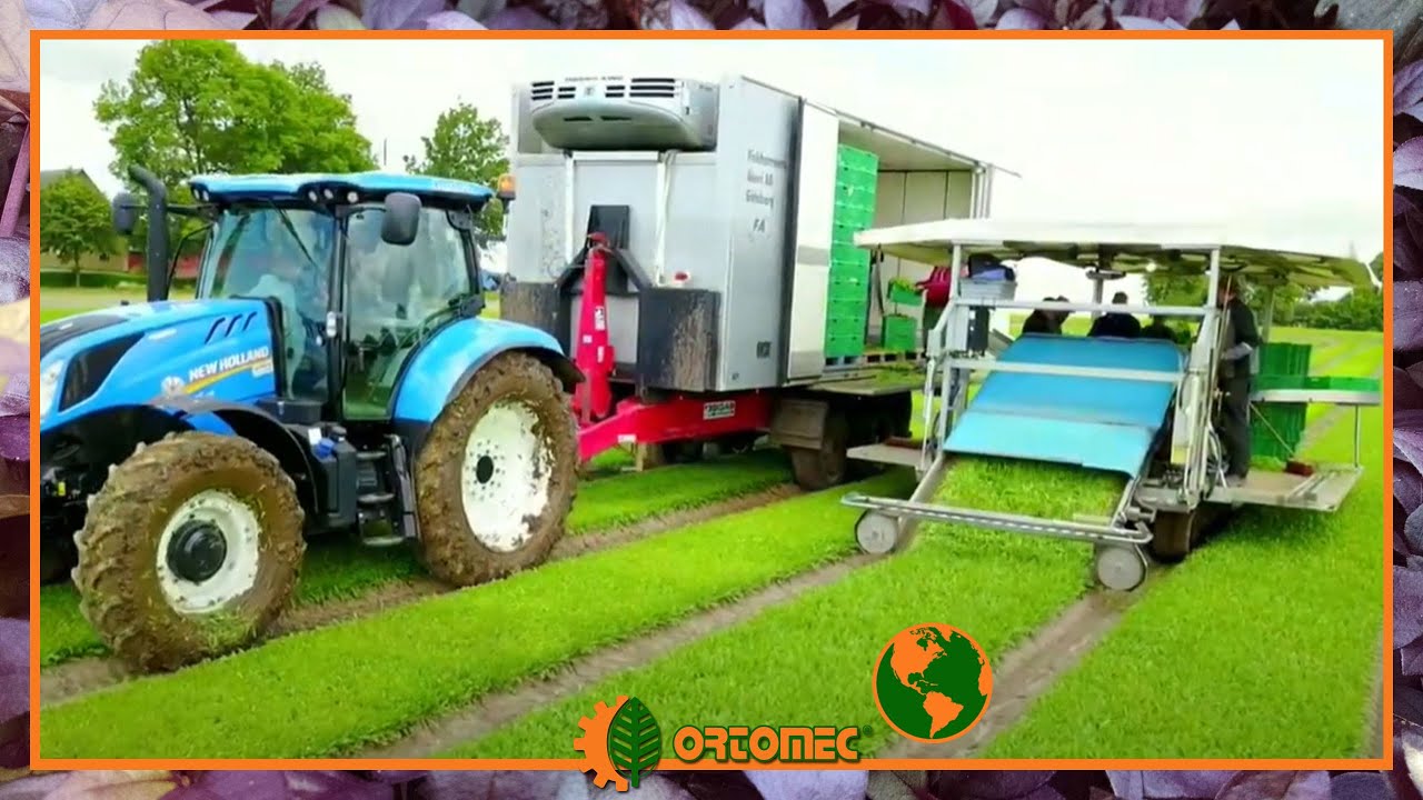 Ortomec | Harvesters all over the world
