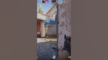 Do you think he will see?