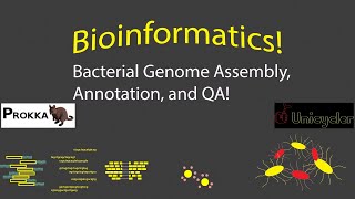 Bioinformatics - Assembling, Annotating, and QA for Bacterial Genomes!