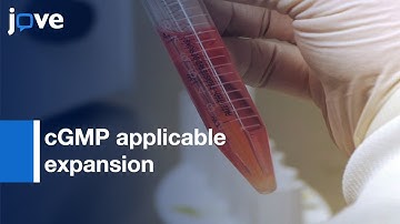 cGMP applicable expansion method for aggregates of Stem cells | Protocol Preview