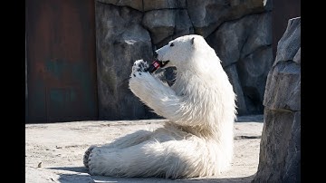 韓国映画『シークレット・ジョブ』予告編動画