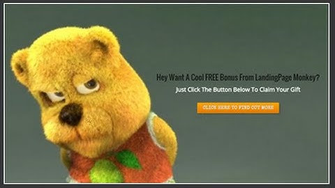 Landing Page Monkey - Watch The Demo!