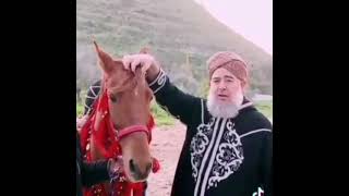 #الخيل  الخيل معقودٌ في نواصيها الخير إلى يوم القيامة||الشيخ جميل حليم الحسيني حفظه الله