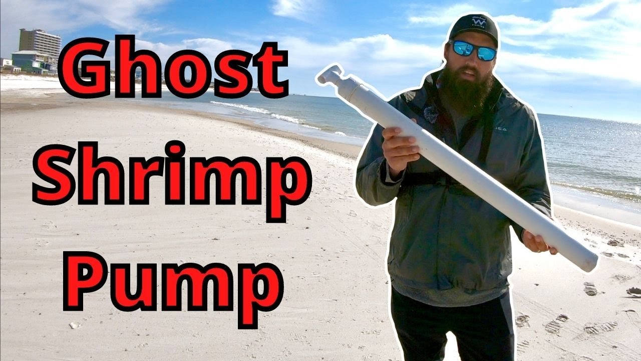 how-to-pump-ghost-shrimp-best-bait-ever-youtube