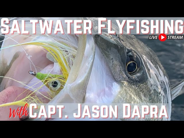 Saltwater Flyfishing 101 with Capt. Jason Dapra - Blitzbound