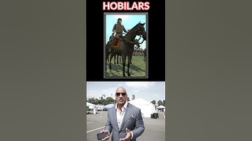 Rating England Cavalry in Medieval 2 Total War #medieval2totalwar #totalwar  #gaming