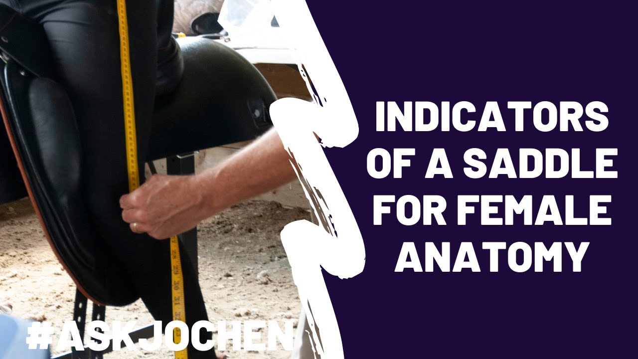 Female Saddle Indicators | #ASKJochen | Livestream Q&A Excerpt - YouTube