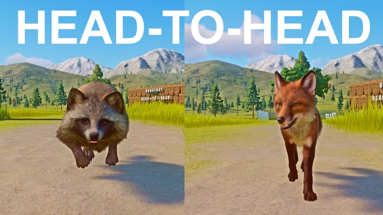 Red Fox vs Raccoon Dog A Head to Head Speed Race in Planet Zoo - YouTube