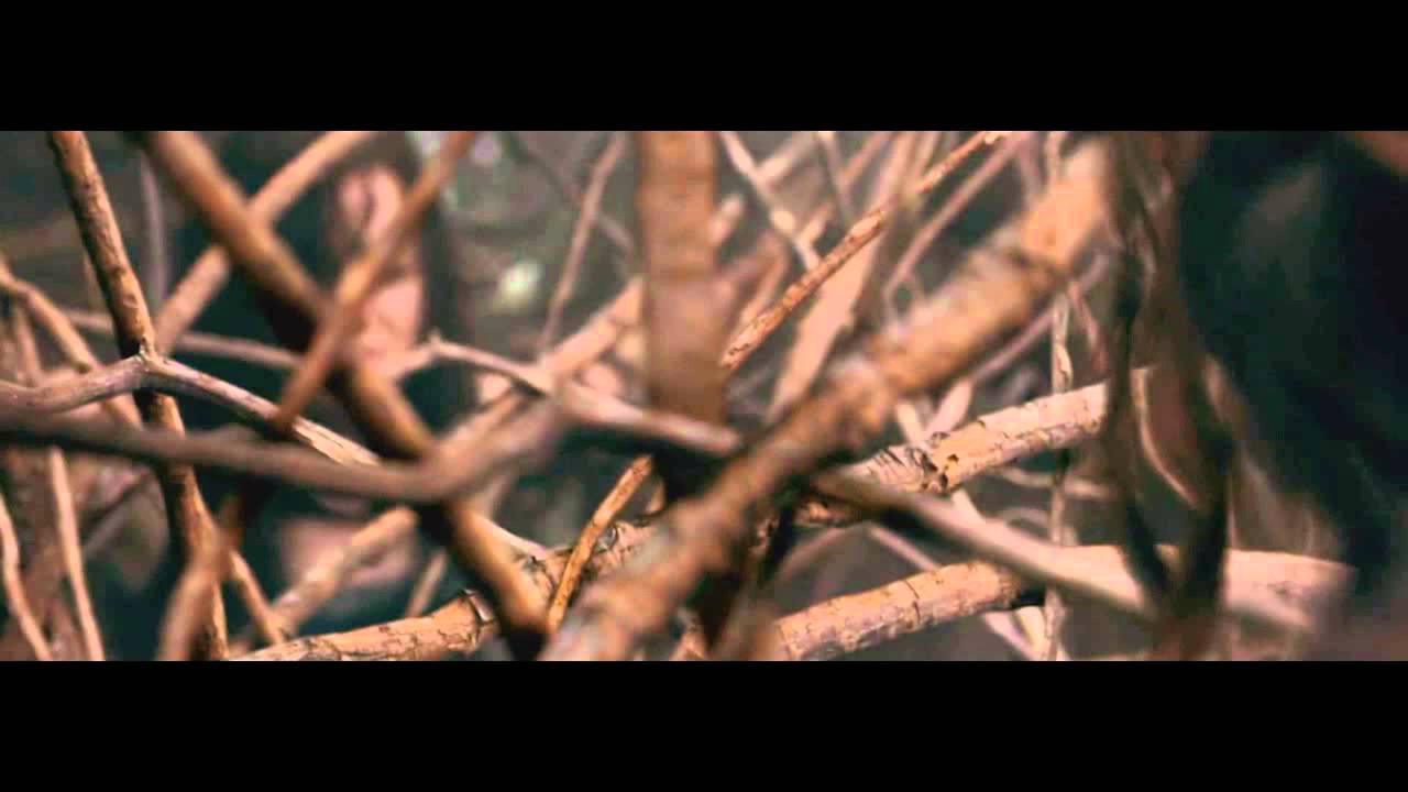 Sex branch scene movie