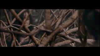 Evil Dead (2013) - Tree Rape scene