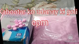 Kabootar ko udanay ki goli cpm screenshot 2