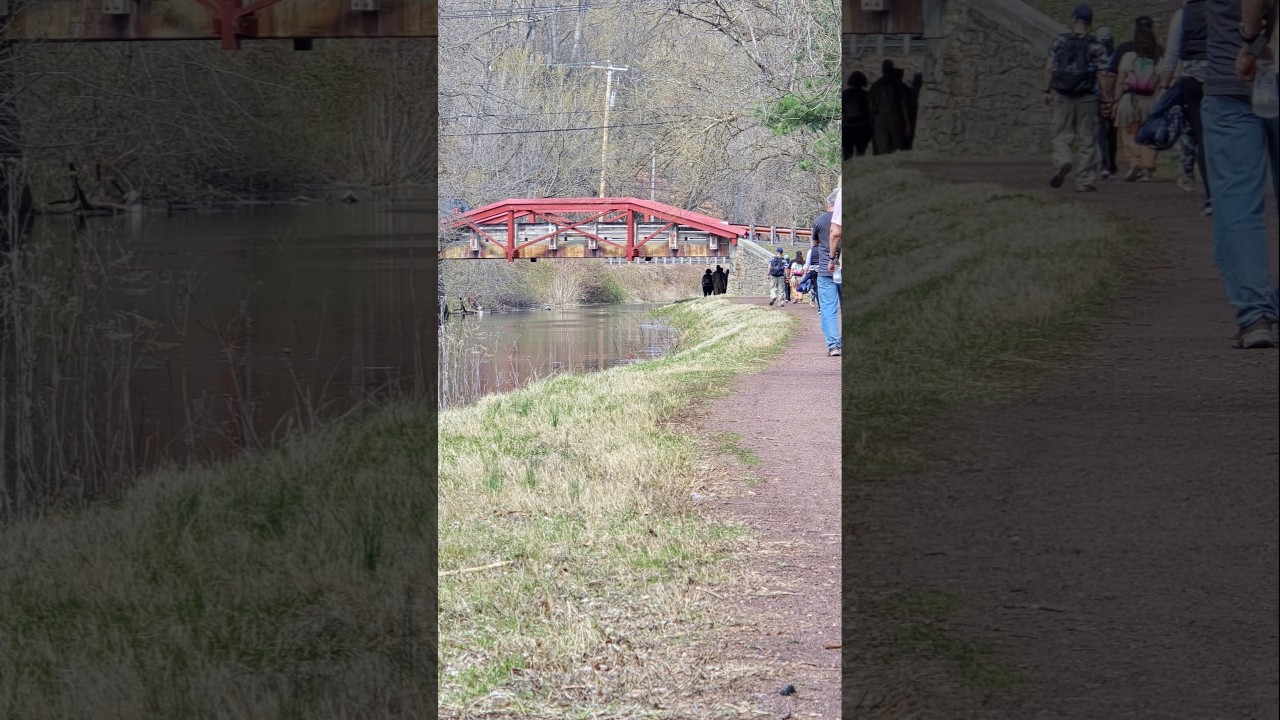 10X Zoom Photos using Phone Camera (Samsung Galaxy S24 Ultra) 