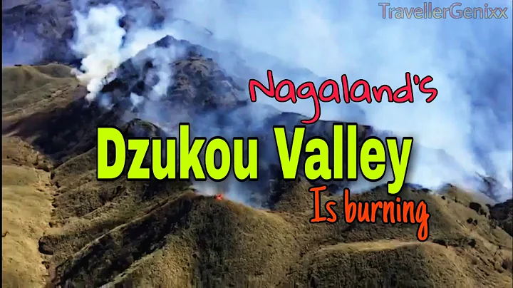 Nagaland’s Pristine Dzukou Valley is Burning | TravellerGenixx
