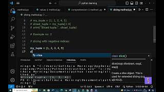 (SY)  slice()  tuple method in python