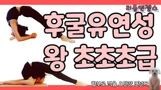 후굴 초급) 후굴에 꼭 필요한거 기본기본기본 연습법