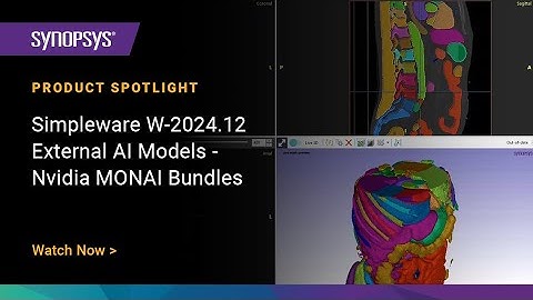 Simpleware W-2024.12 - External AI Models: Nvidia MONAI Bundles