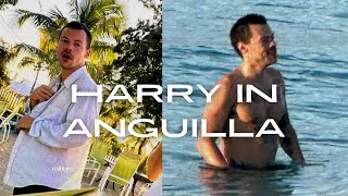 HARRY STYLES IN THE CARIBBEAN (JANUARY)