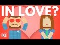 What Happens When You're Falling In Love? | Life Noggin IRL