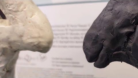 xenomorph vs neomorph