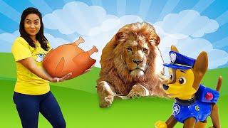 Lustige Schule für Kinder. Chase und seine Freunde im Zoo. Spielzeug Video auf Deutsch