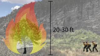Vegetation Project Aids Fire Suppression Efforts