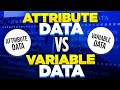 Attribute Data vs Variable Data Explained 📊