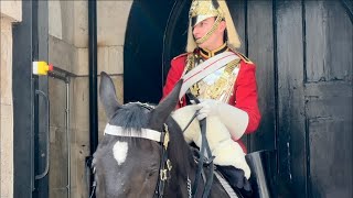 King’s horse keep SNIFFING and a LOUD FART Multiple times, tourist non STOP LAUGHING 🤣😂😆