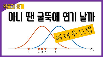 최대우도법(Maximum Likelihood Estimation) 소개