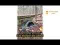 Review Sutekus Tent Camouflage Patterns Camping Tent Backpacking Tent for Camping Hiking 【Outdoor Eq