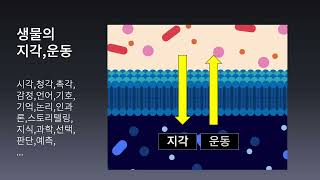 지능의 시작 - 생명은 새로운 것을 어떻게 이해하는가? 3/3