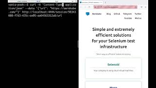 Selenium: How WebDriver protocol works under the hood screenshot 5