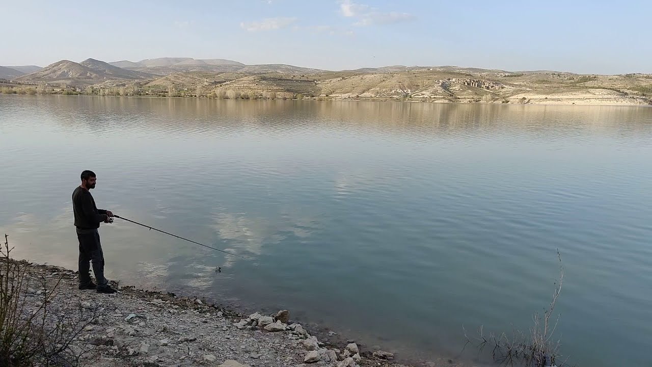 ALTINAPA TURNA AVI!!!