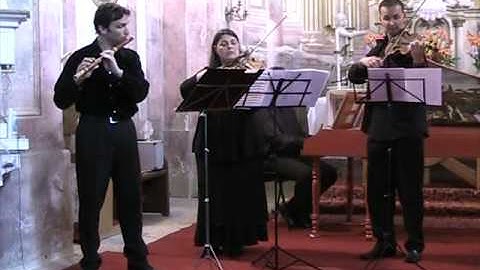 Minuet - J.S.Bach: Suite no.2 in b minor BWV 1067 - 6 - Mate Palhegyi flute