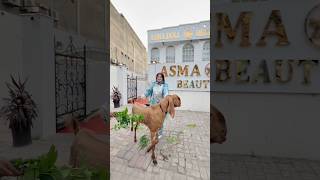 Big Offer With Bakra Ka Sath #faceserumforoilyskin #beauty #minivlog